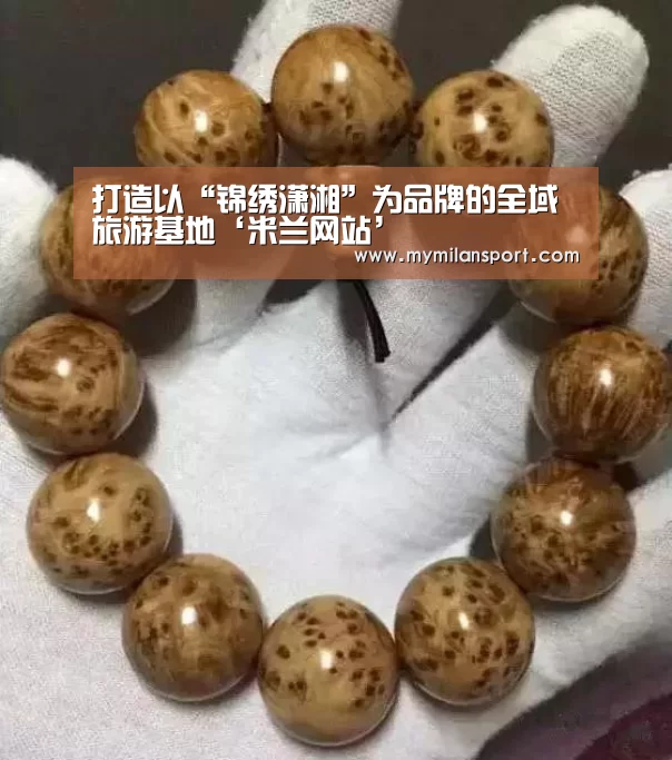 打造以“锦绣潇湘”为品牌的全域旅游基地‘米兰网站’(图1) 米兰频道