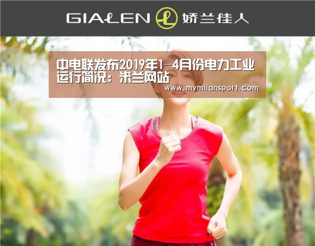 中电联发布2019年1-4月份电力工业运行简况:米兰网站(图2) 米兰游戏